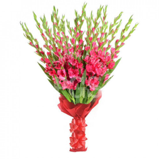 12 Pink Gladiolus Bouquet 12 Pink Gladiolus Bouquet