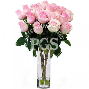 24 Pink Imported Roses