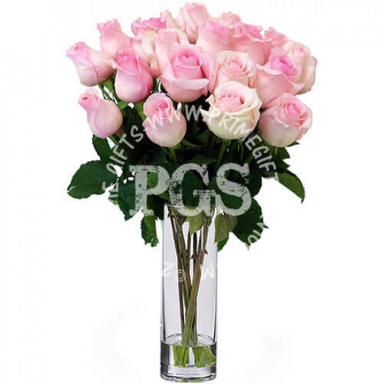 24 Pink Imported Roses 24 Pink Imported Roses