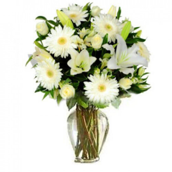 Christmas Snow Flowers Christmas Snow Flowers