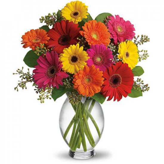 Beautiful Smile Flowers Beautiful Smile Flowers