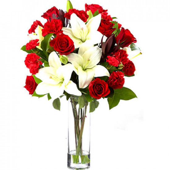 Red and White Beauty Red and White Beauty