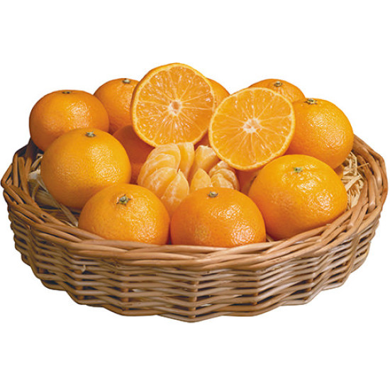 Fresh Oranges 7-8Kg Fresh Oranges 7-8Kg