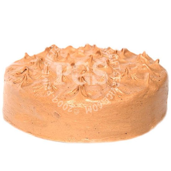 Masoom Bakers Malt Chocolate Cake 3.5Lbs Masoom Bakers Malt Chocolate Cake 3.5Lbs