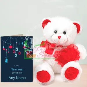 New Year Teddy Gift