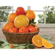 Fruits Islamabad