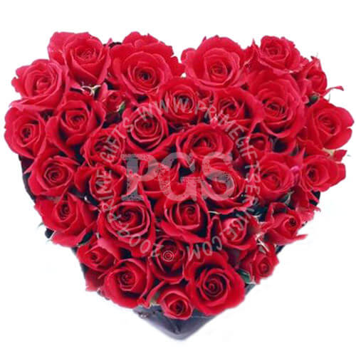 Red Rose Heart - anniversary gift to Pakistan